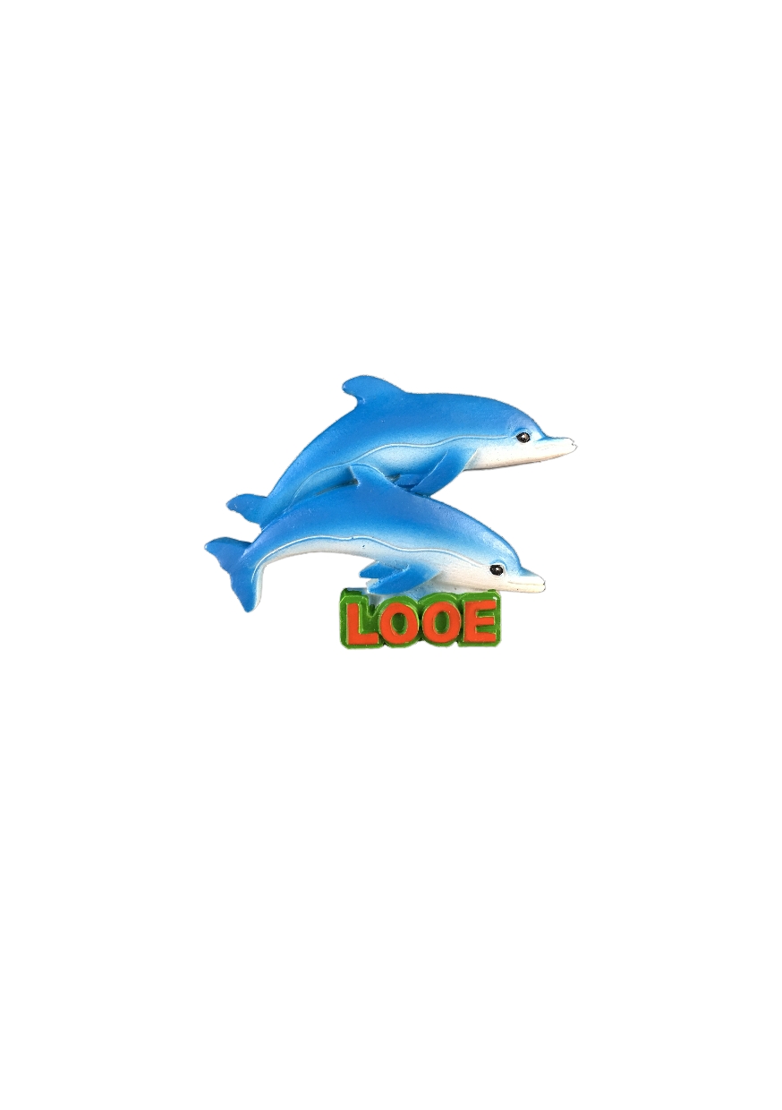 Looe Dolphin Resin Magnet