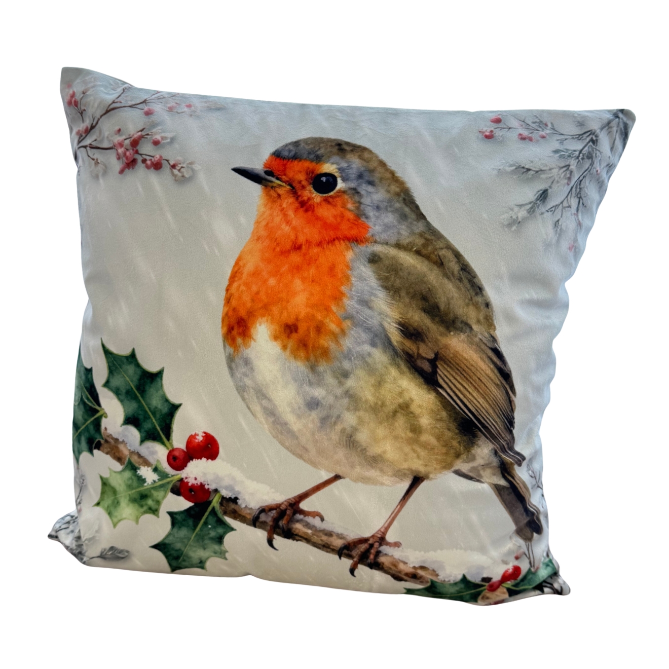 Robin velvet cushion